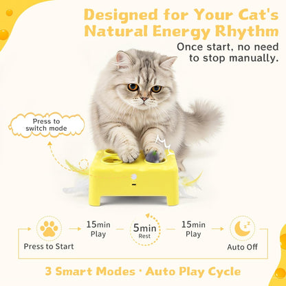 Interactive Cat Feather Toy Cheese Box 3In1 Whack a Mole